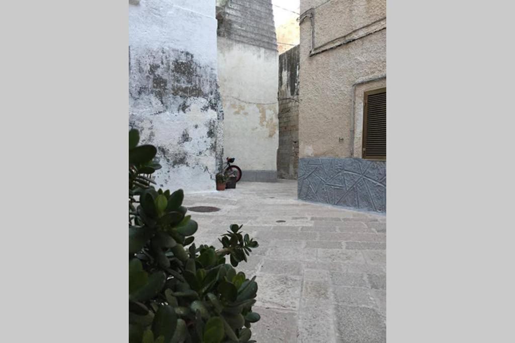Historic Apartment In Centre Of City 100M To Sea Monopoli Buitenkant foto